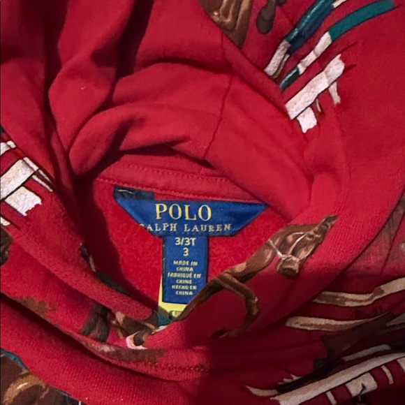 Toddler Polo Ralph Lauren Hoodie - Picture 2 of 2